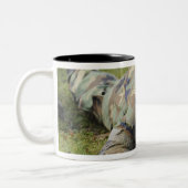 Der Luftschiff knurrt durch ein nasses Feld Zweifarbige Tasse (Links)