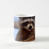 Der lustige Waschbär, der es haftet, ist Zunge Kaffeetasse (Mittel)