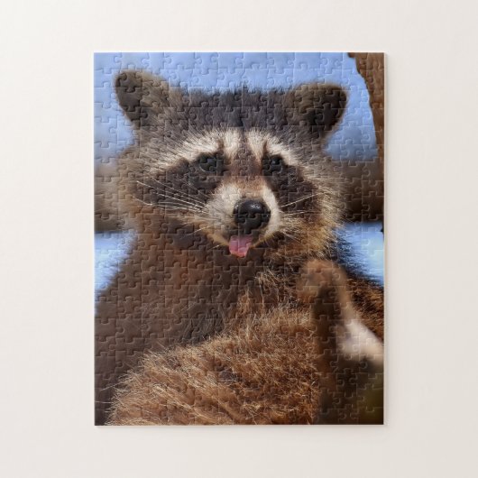 Der lustige Waschbär, der es haftet, ist Zunge Puzzle (Vertikal)