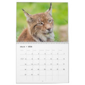 Der Lynx Wildlife-Kalender Kalender (Mär 2026)