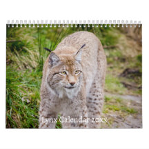 Der Lynx Wildlife-Kalender