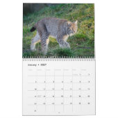 Der Lynx Wildlife-Kalender Kalender (Jan 2027)