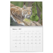 Der Lynx Wildlife-Kalender Kalender (Feb 2027)