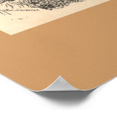 Der Lyre-Vogel Poster (Ecke)