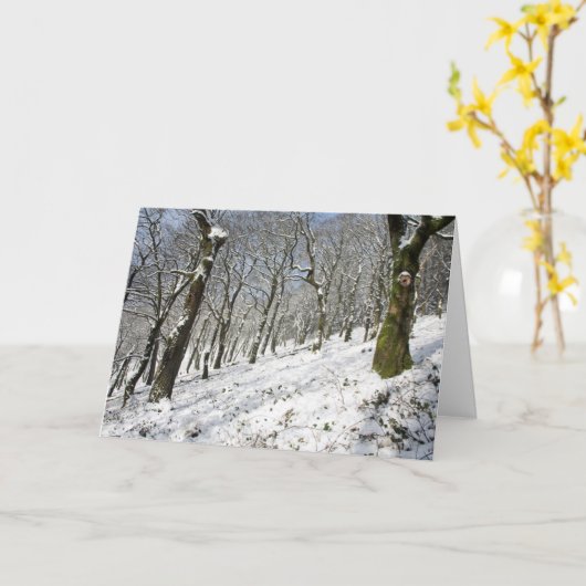 Der Macclesfield-Wald im Winter Karte (Gelbe Blume)