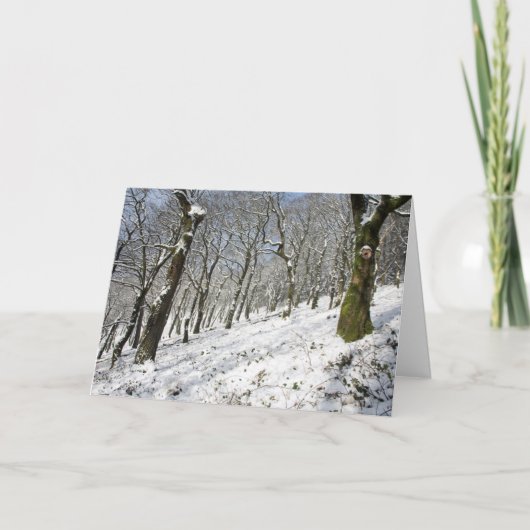 Der Macclesfield-Wald im Winter Karte (Vorderseite)