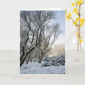 Der Macclesfield-Wald Winter Karte (Gelbe Blume)