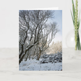 Der Macclesfield-Wald Winter Karte