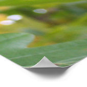 Der mächtige Acorn in einem Eichenbaum Poster (Ecke)