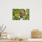 Der mächtige Acorn in einem Eichenbaum Poster (Küche)