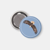 Der mächtige Adler Magnet (Vorderseite/Rückseite)