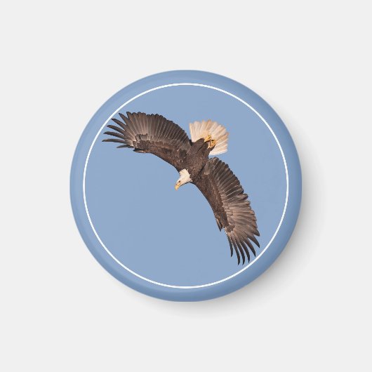 Der mächtige Adler Magnet (Vorne)