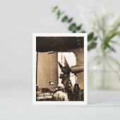 Der mächtige Fitz - Rudder & Prop Postkarte (Stehend Vorderseite)