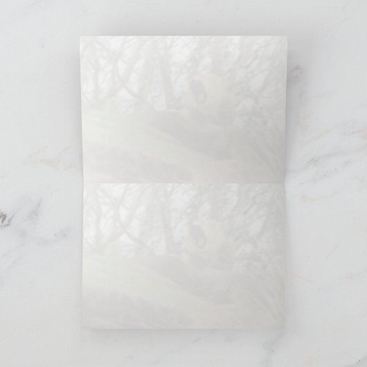 Der mächtige Löwe Karte (Innenseite)