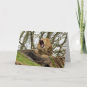 Der mächtige Löwe Karte (Vorderseite)