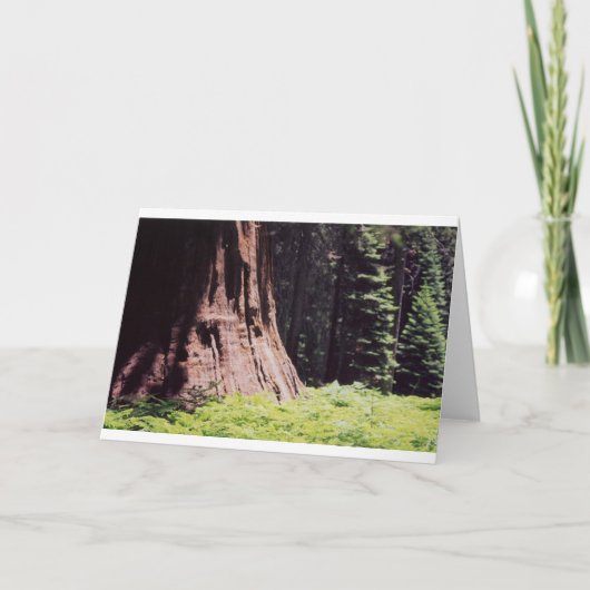 Der mächtige Mammutbaum Karte (Vorderseite)