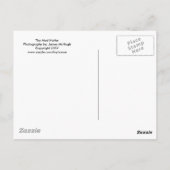 Der Mad Hatter Postkarte (Rückseite)