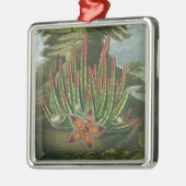 Der Made-Lager Stapelia, graviert durch Stadler, Ornament Aus Metall (Links)