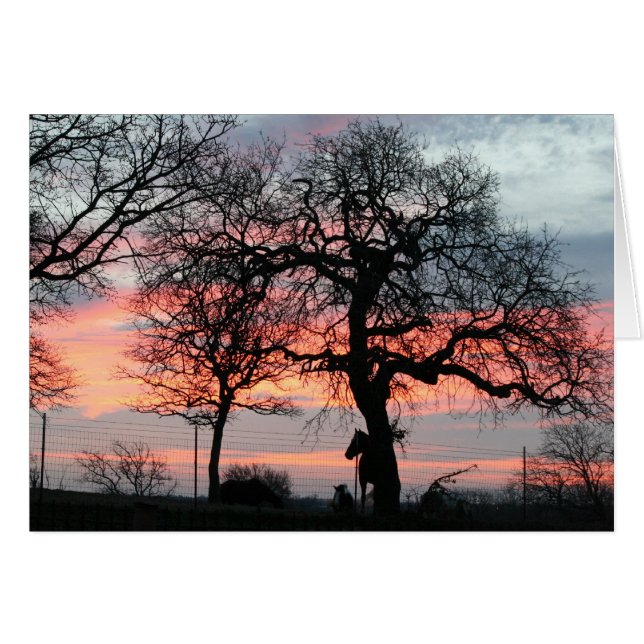 Der magische Himmel (Vorderseite (Horizontal))