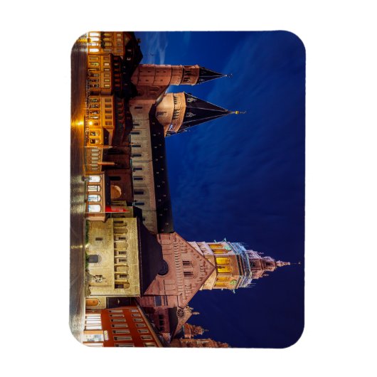 Der Mainzer Dom in Rheinland Pfalz Magnet (Vertikal)