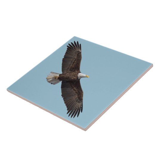 Der majestätische Adler Fliese (Seite)