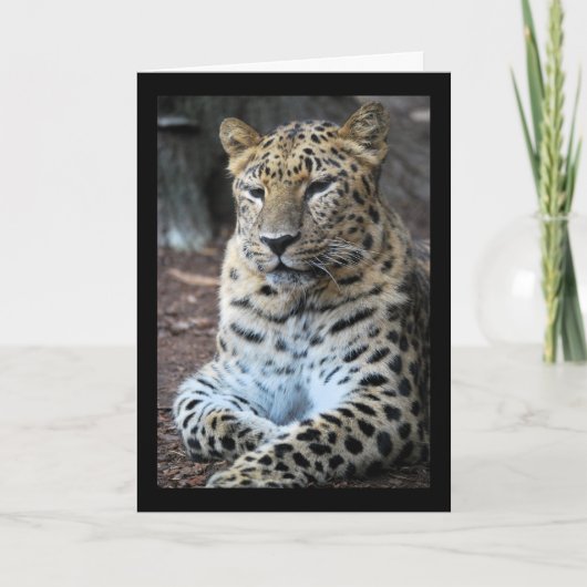 Der majestätische Leopard Karte (Vorderseite)