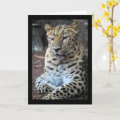 Der majestätische Leopard Karte (Gelbe Blume)