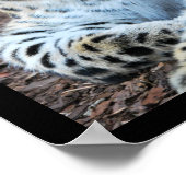Der majestätische Leopard Poster (Ecke)