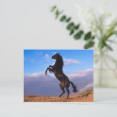 Der majestätische schwarze Hengst Postkarte (Stehend Vorderseite)
