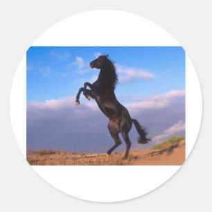 Der majestätische schwarze Stallion Runder Aufkleber
