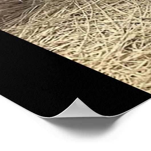 DER MANN CAVE POSTER (Ecke)