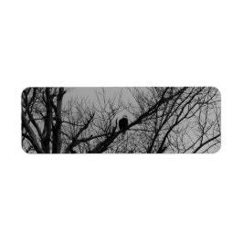 Der Mann, der Uhr nimmt