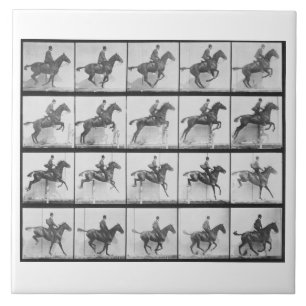 Der Mann und Pferd, die einen Zaun springen, Fliese