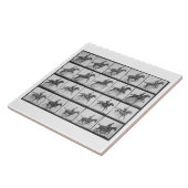 Der Mann und Pferd, die einen Zaun springen, Fliese (Seite)