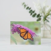 Der männliche Monarch im Schmetterling Bush Postkarte (Stehend Vorderseite)