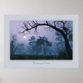 Der Märchenwald im Schwanz Poster (Vorne)