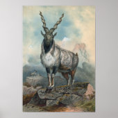 Der Markhore von Joseph Wolf Poster (Vorne)