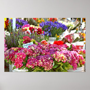 Der Markt-Blumen-Stall des Bauern Poster