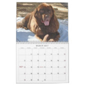Der Marshalls-Kalender 2026 Kalender (Mär 2027)
