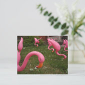 Der März der rosa Flamingos-Postkarte Postkarte (Stehend Vorderseite)