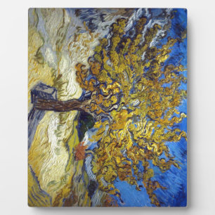 Der Maulbeerbaum, Vincent van Gogh. Vintage Fotoplatte