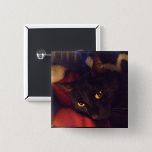 Der meiste hübsche Knopf Button (Vorne & Hinten)