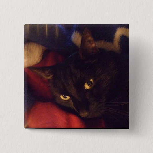 Der meiste hübsche Knopf Button (Vorderseite)