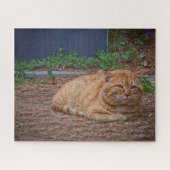 Der Meister des sonnigen Pfades Puzzle (Horizontal)