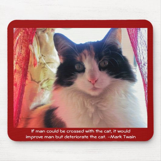 Der Mensch ist mit Calico überquert? Mousepad (Vorne)