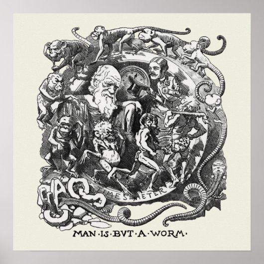 Der Mensch ist nur ein Wurm Poster (Vorne)