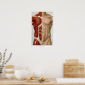 Der menschliche Körper Poster (Küche)