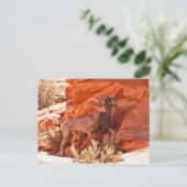 Der Mentor Postkarte (Stehend Vorderseite)