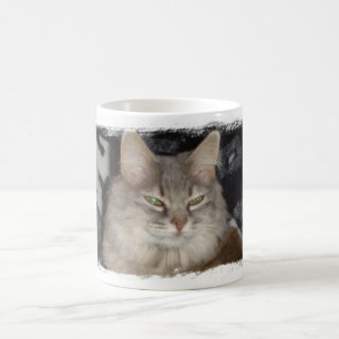 der Meow der Katze Kaffeetasse