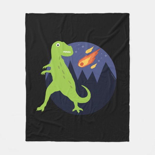 Der Meteorit der fest Fleecedecke (Vorderseite)